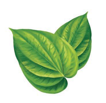 পান