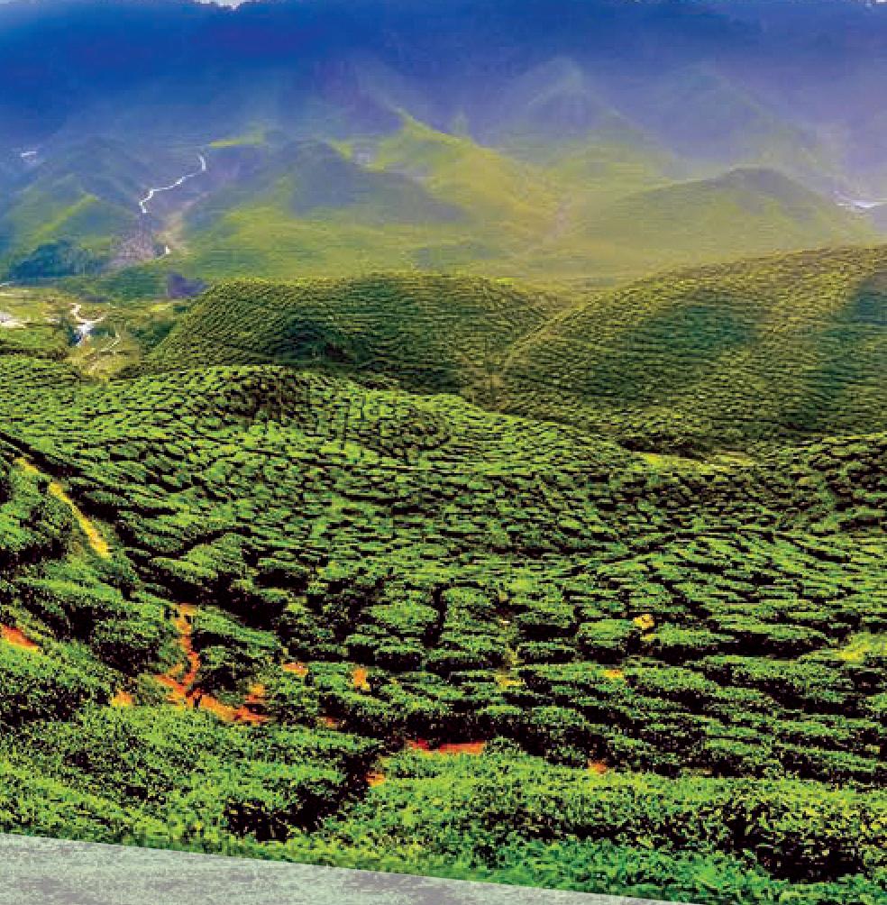 টুকভার