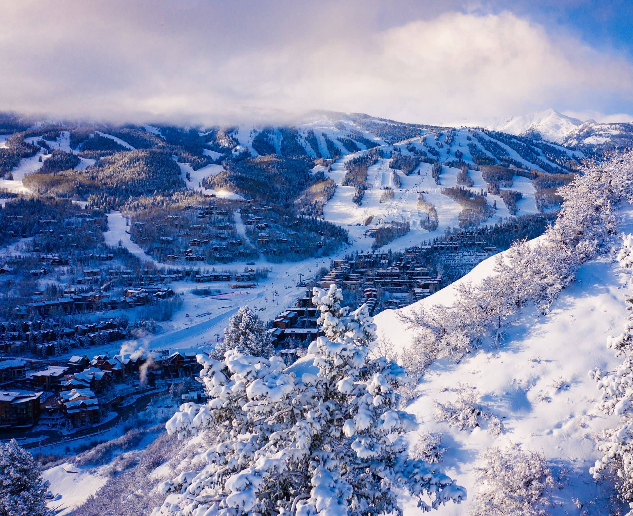 Colorado Dreaming