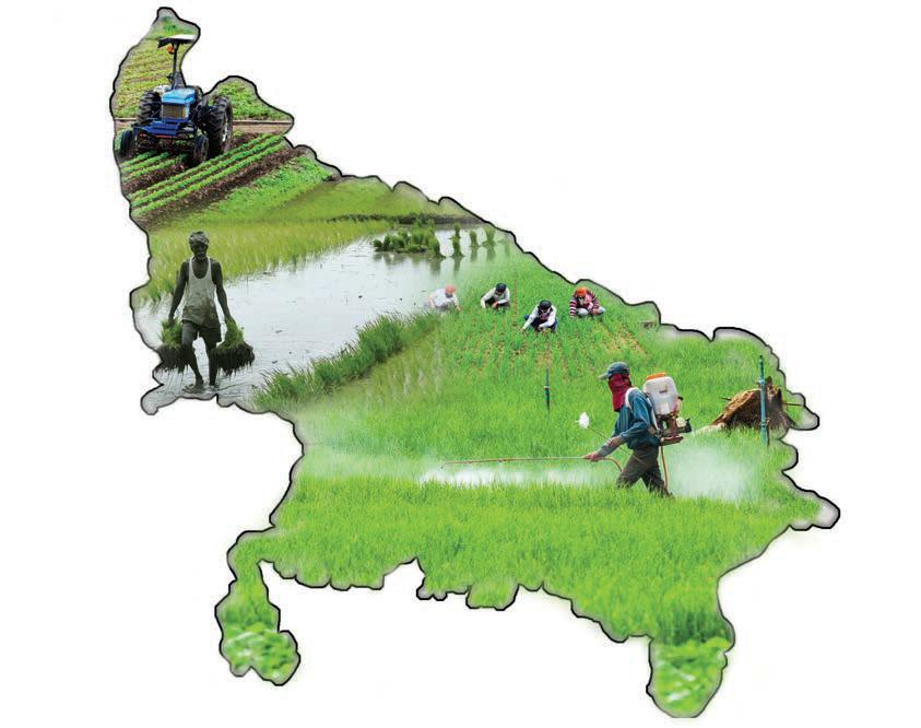 Agriculture remains the growth driver of Uttar Pradesh
