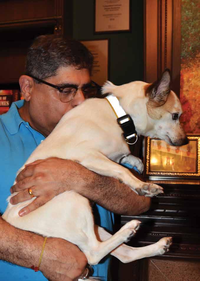 A TALE OF 22 RESCUES