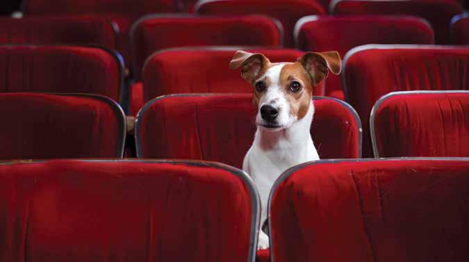 The Geography of COMPASSION