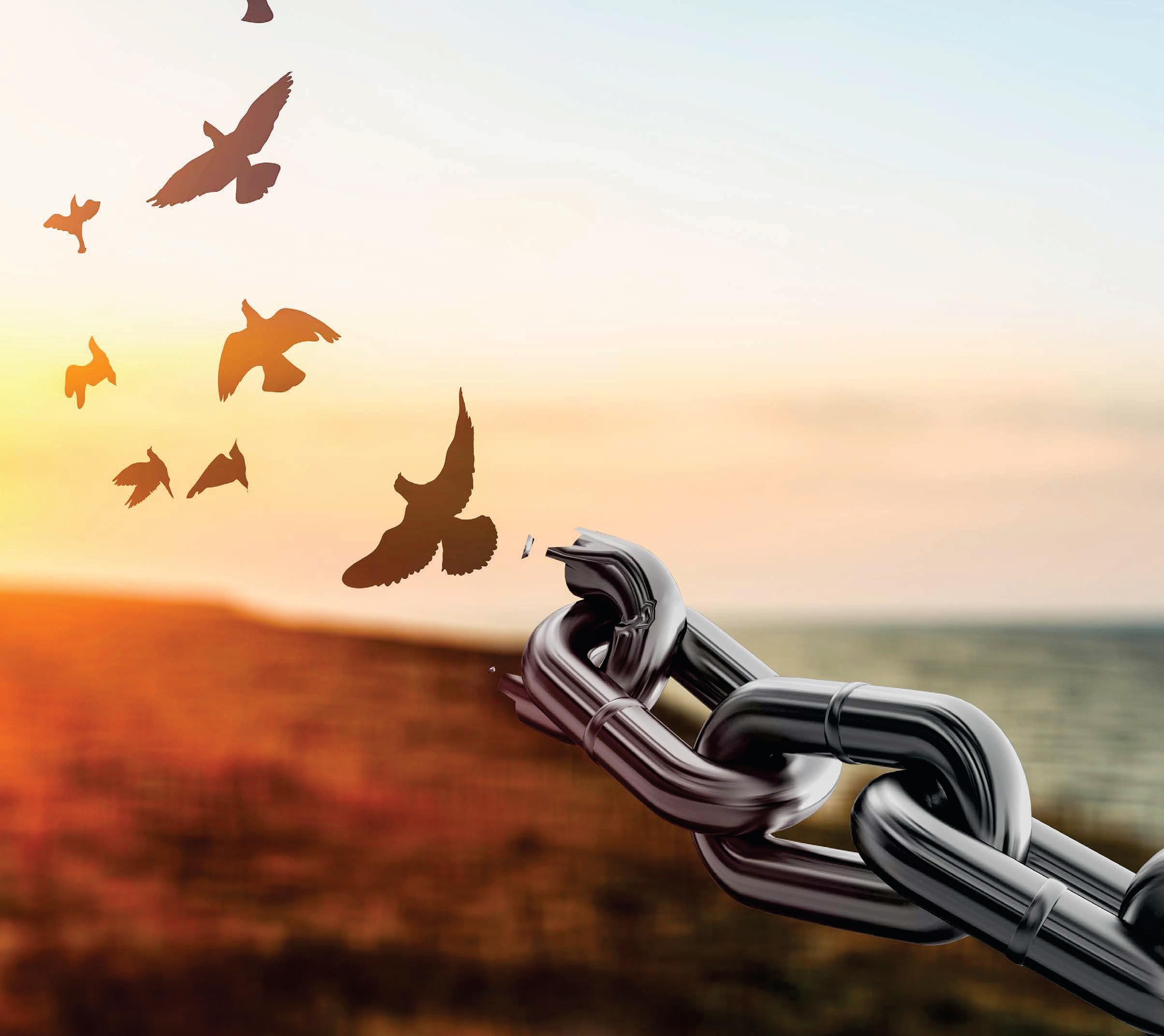 FREEDOM BEYOND CHAINS, BEYOND SCREENS