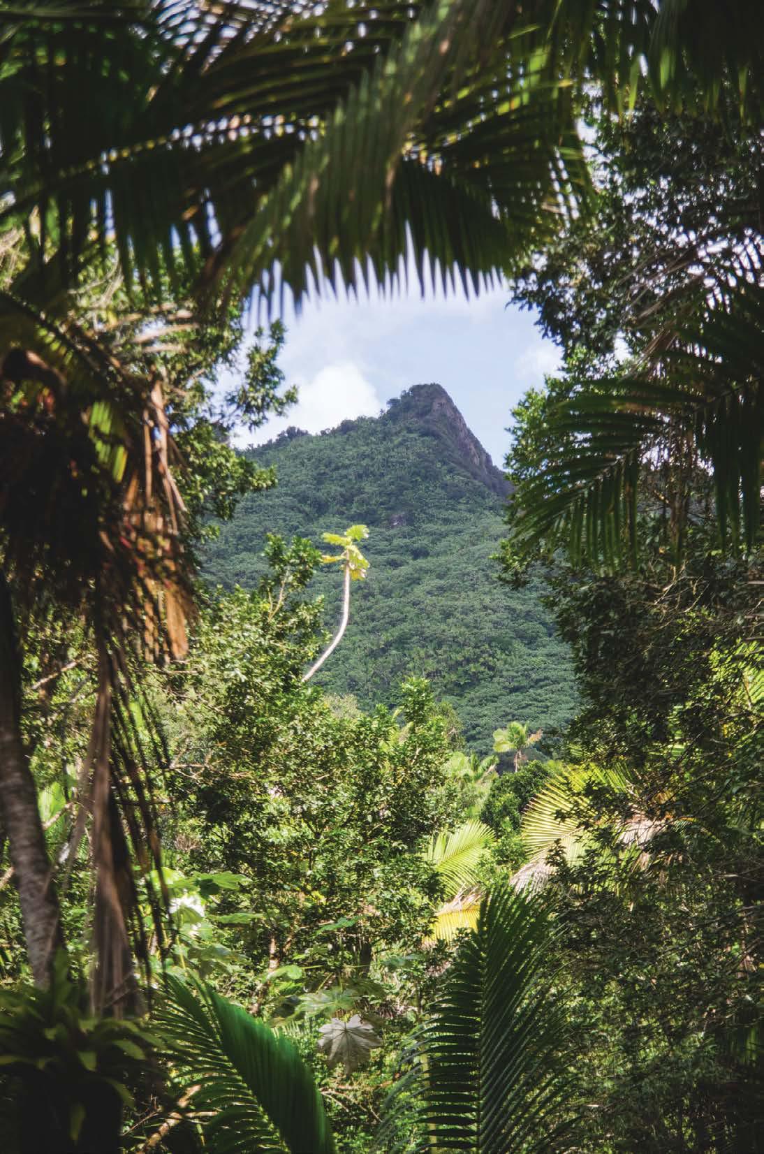 POSTALES DESDE LA ISLA