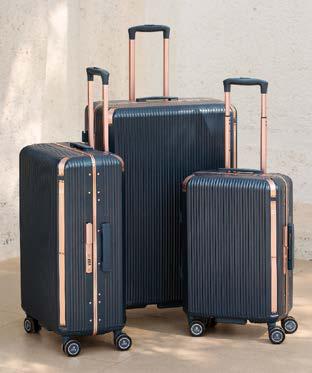 SWISS MILITARY HAMILTON CARRY-ON