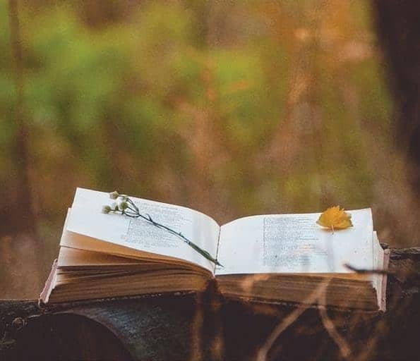 READING AS A SPIRITUAL EXERCISE