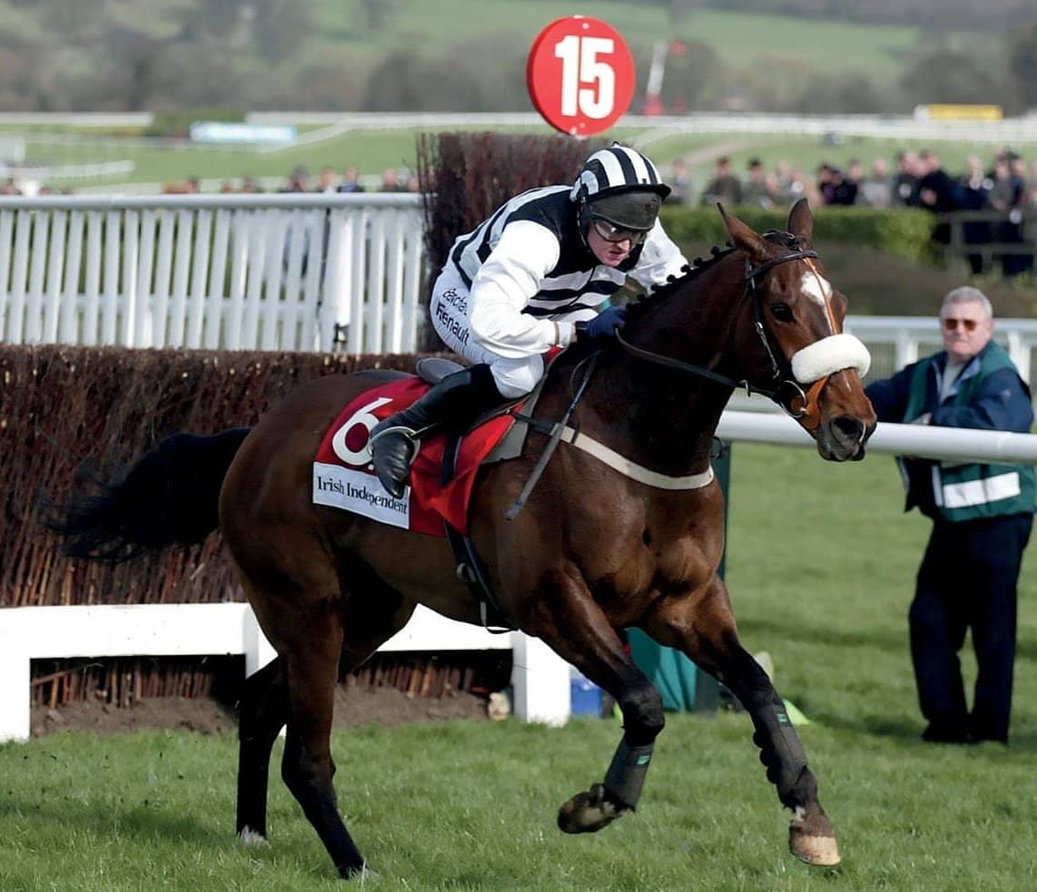 The thrill of the steeplechase