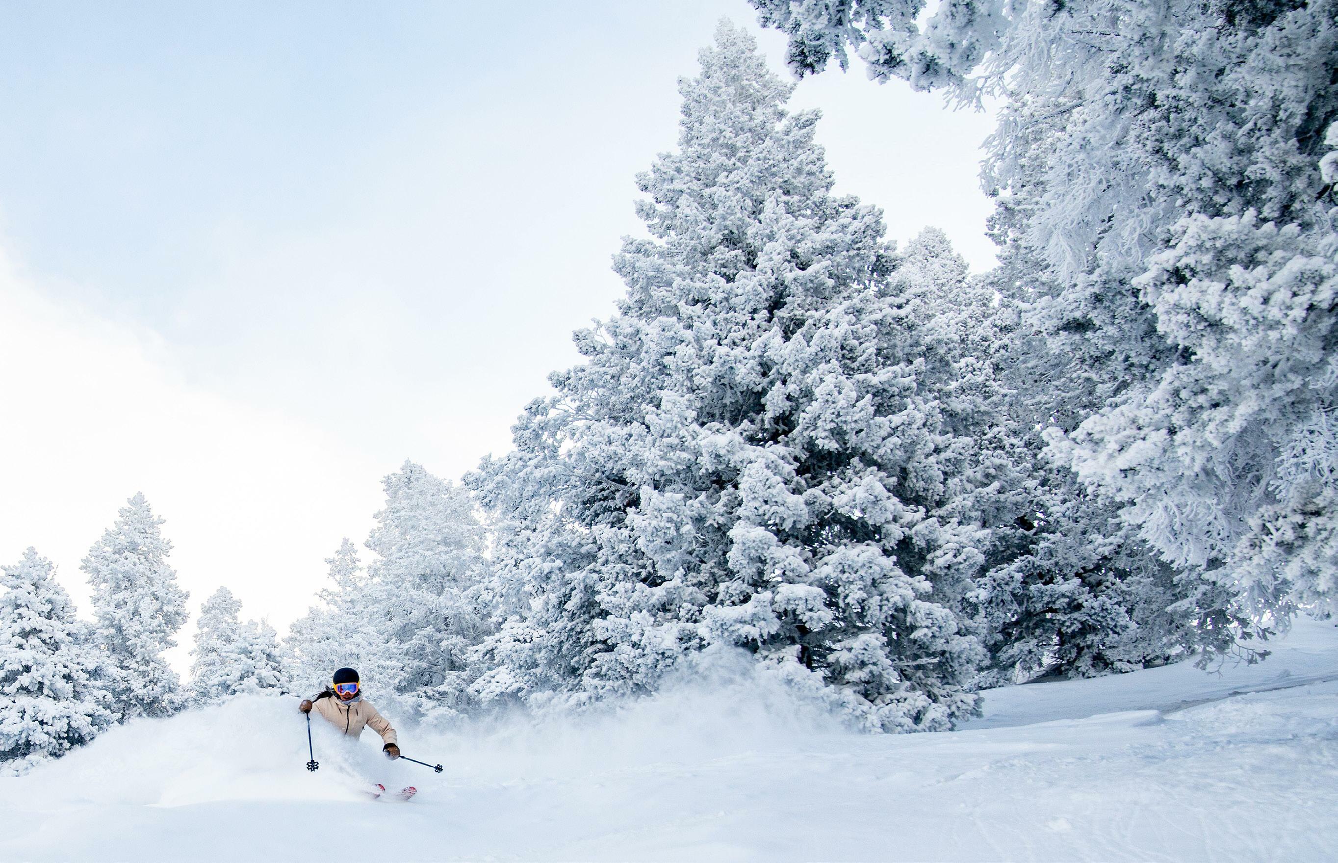 INTO THE ROARING FORK