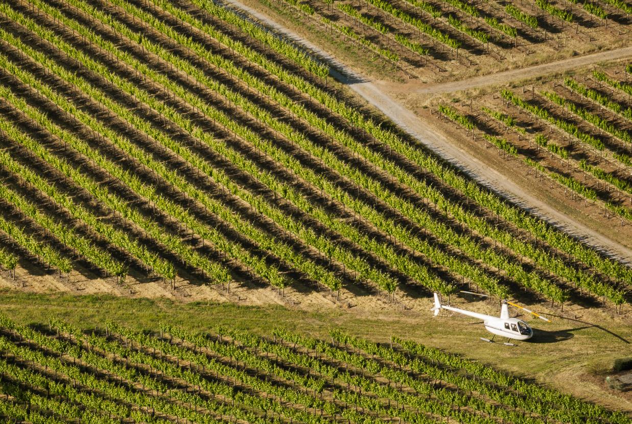 ON CLOUD WINE