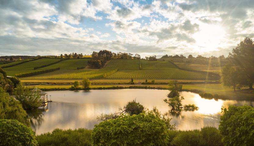 JOSEF CHROMY WINES: APPLE ISLE IDYLL