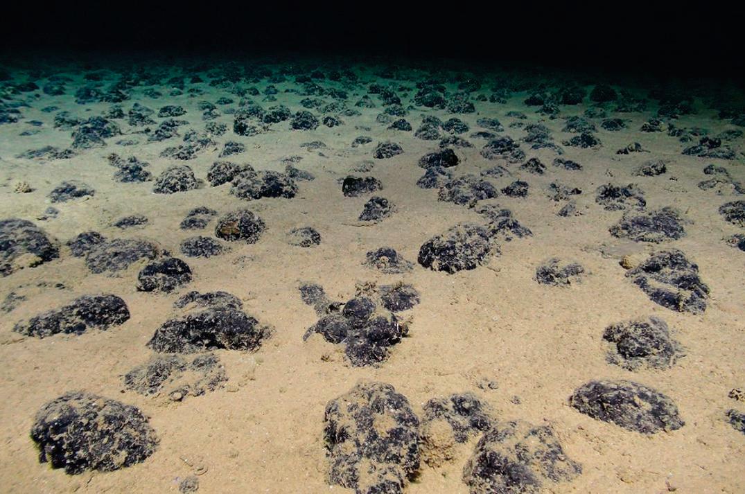 Valuing Our Oceans