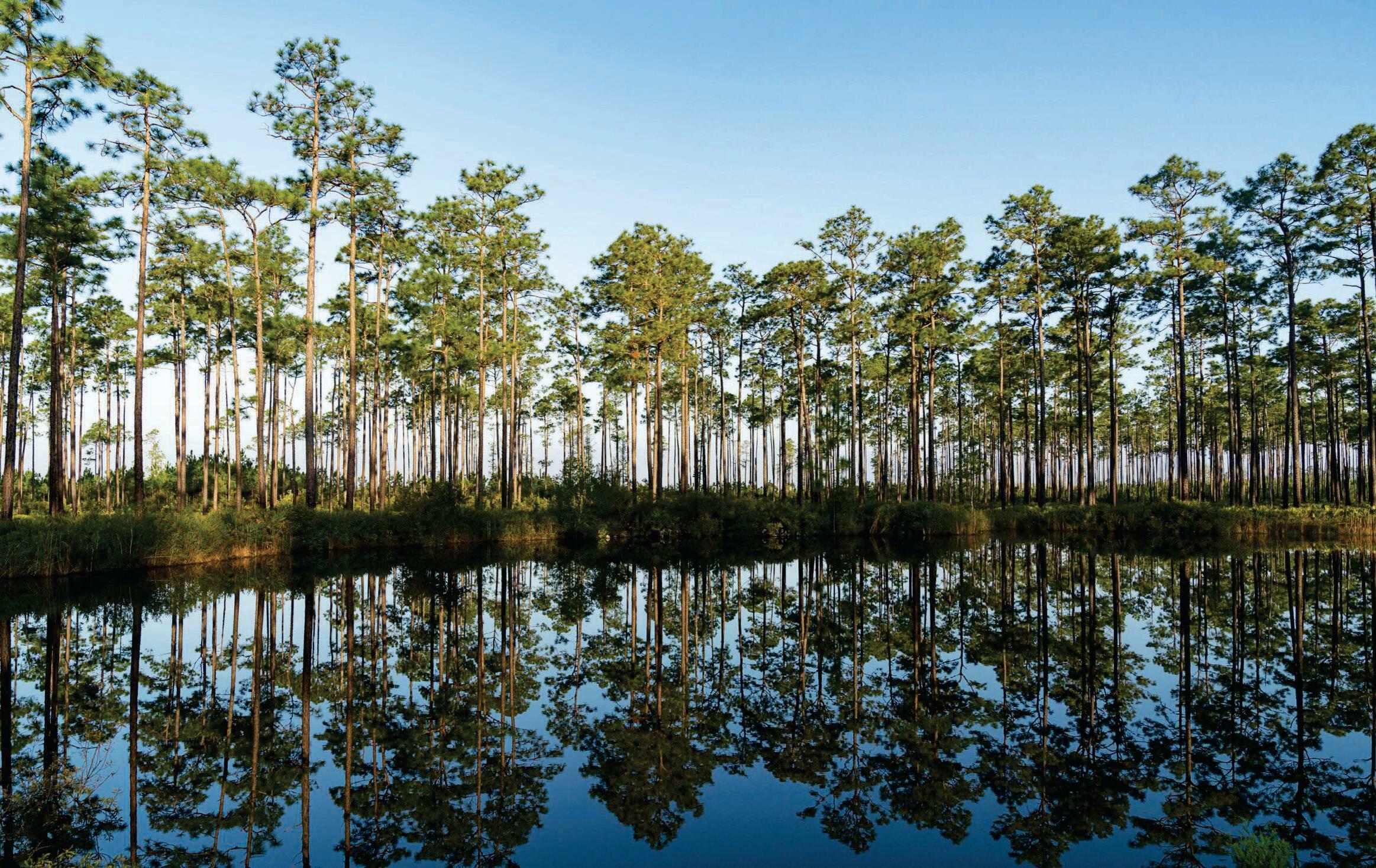 Patagonia's idea of a global investment