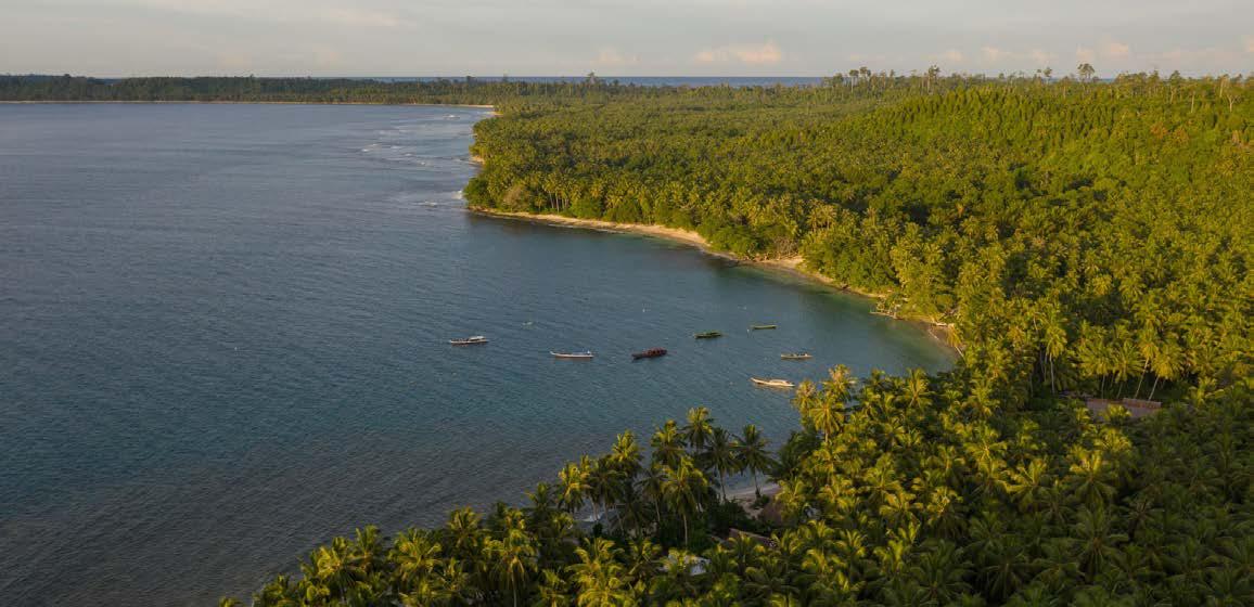 SUSTAINABLE GOA 2030 - CAN THIS PARADISE BECOME INDIA'S FIRST CARBON-NEUTRAL STATE?