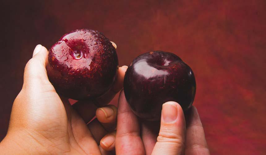 KOKUM - GOA'S TANGY JEWEL SUPERFRUIT