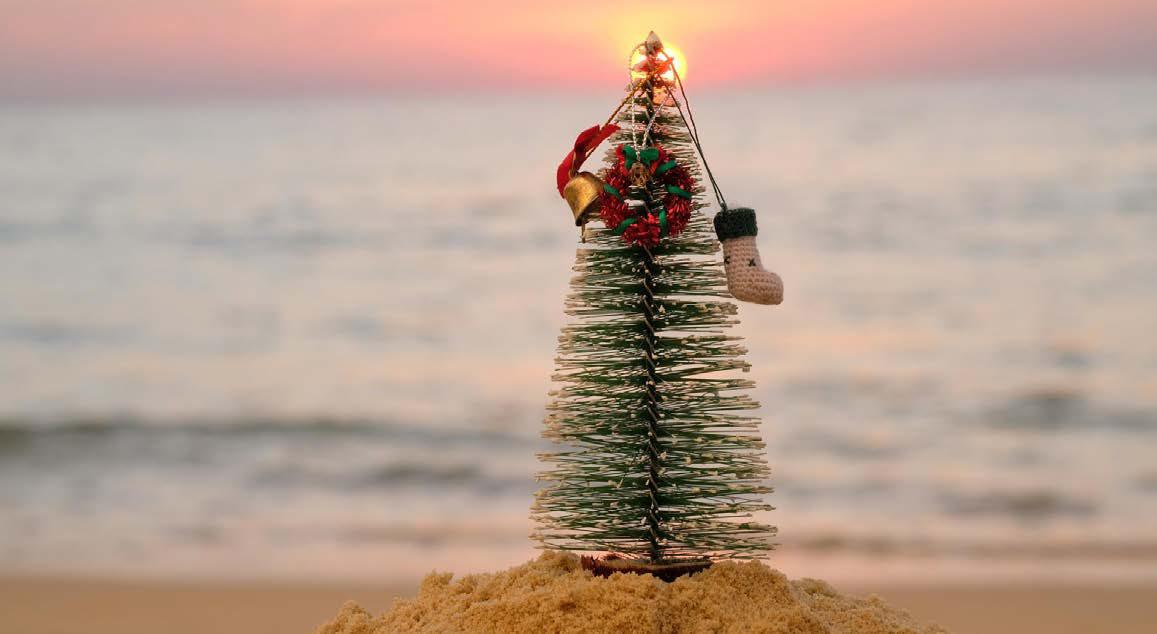 SUSTAINABLE FESTIVALS THIS SEASON How Goa Can Celebrate Without Polluting
