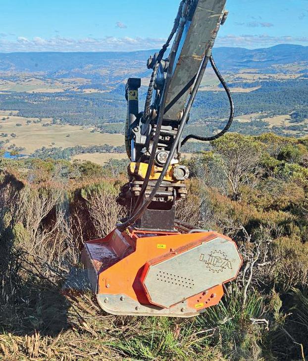 New ideas for new committee