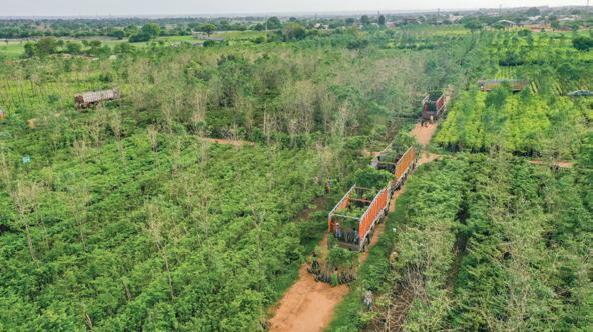 GREENING THE FUTURE: Science, Care, and Sustainability