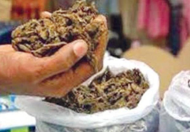 పుష్పను మించిన స్మగ్లర్...