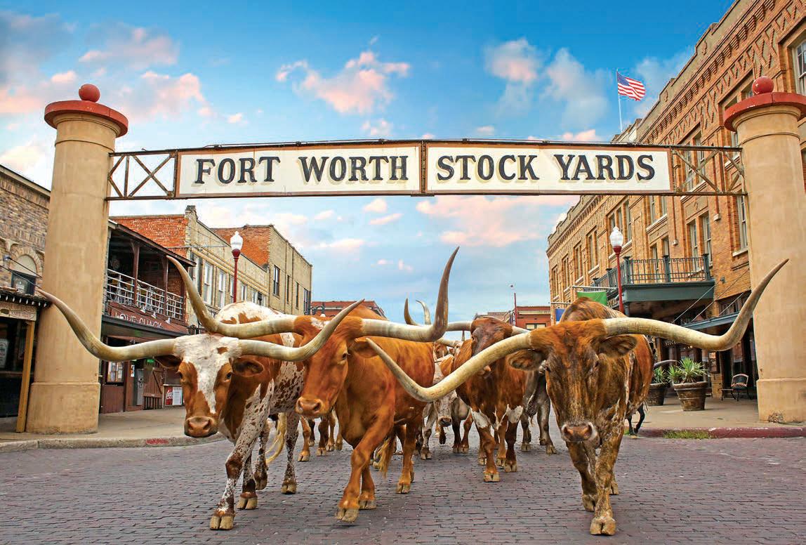 Fort Worth Rides High on Cowboy Culture