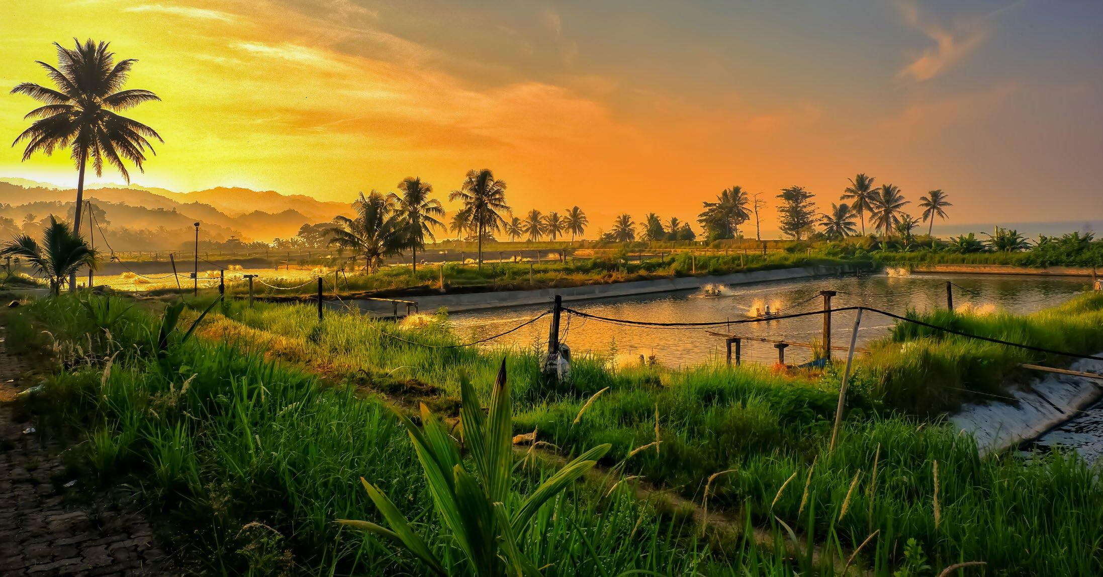 വളരട്ടെ, പലമയുള്ള കേരളം