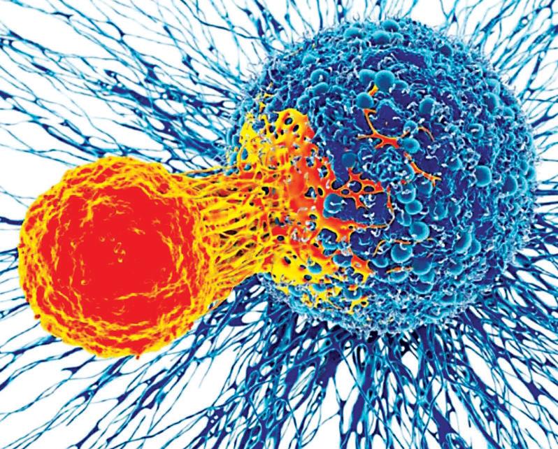 Elpis Biopharma signs MoU with NCCS to conduct translational cell therapy research in Singapore