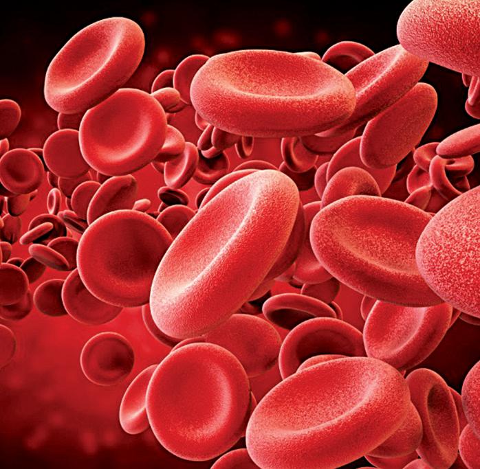 CSL partners with VarmX on first-in-class coagulation treatment in $2.2 B deal