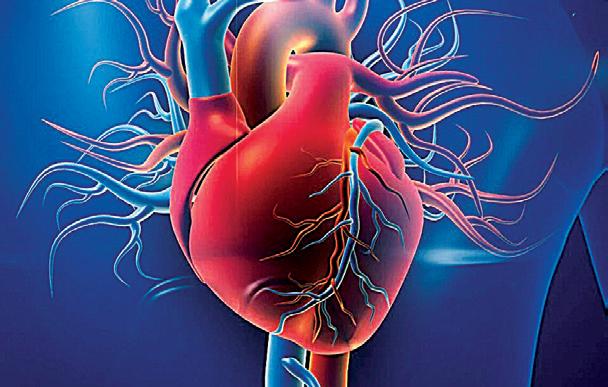 Mabwell and Aditum Bio ink $1 B deal for siRNA cardiovascular therapies