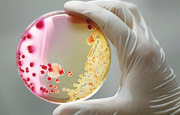 Clinical trial by Australia marks key milestone in fight against antibiotic resistance