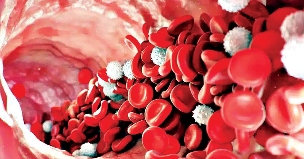 Japan generates iPS cells from human peripheral blood cells