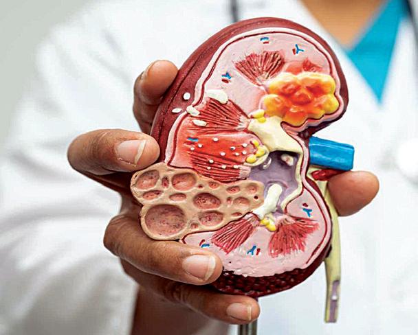 Helex raises $3.5 M to advance targeted gene therapies for kidney diseases