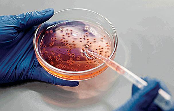 Thermo Fisher Scientific expands Gibco Bacto portfolio