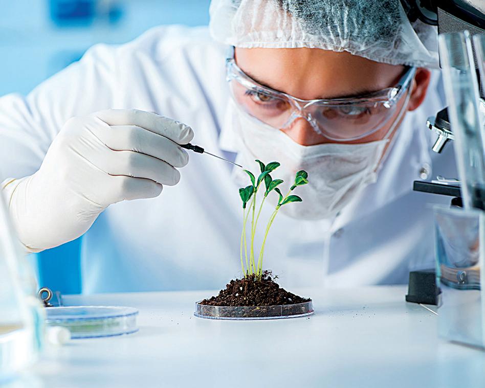Japan Pushes Startups to Power the Next Biotech Cycle