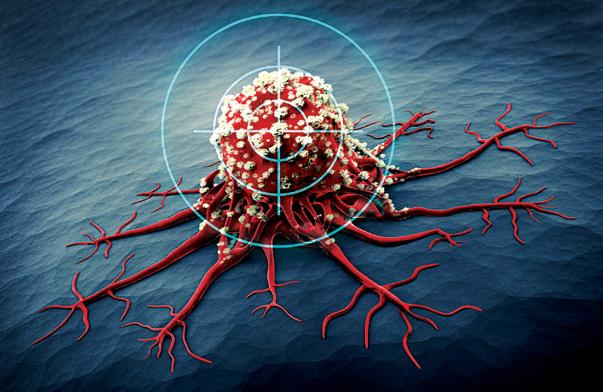 AdCella and Shanghai Cell Therapy Group launch global collaboration for cancer therapy