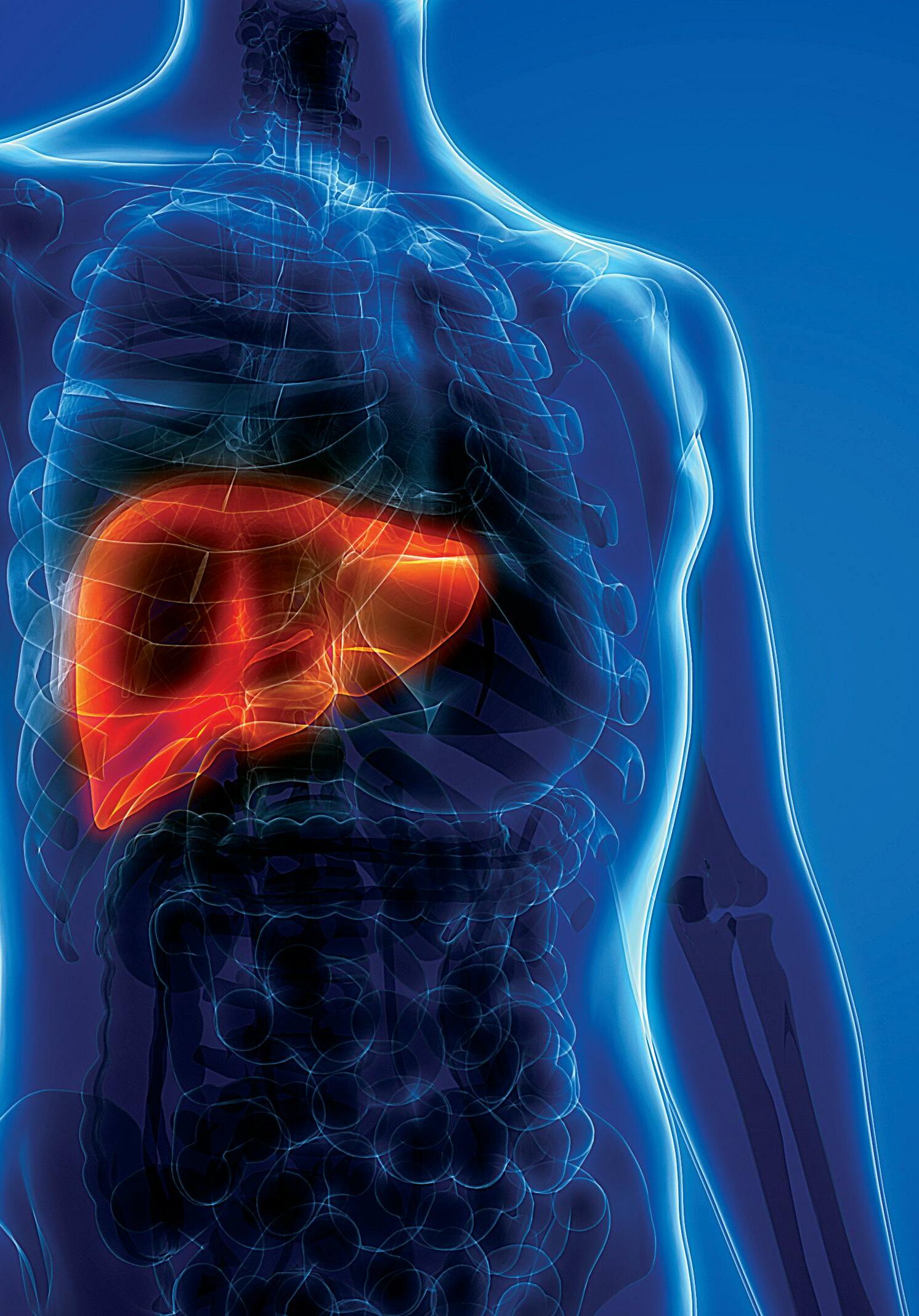 Cancer Diagnosis, Accelerated by AI