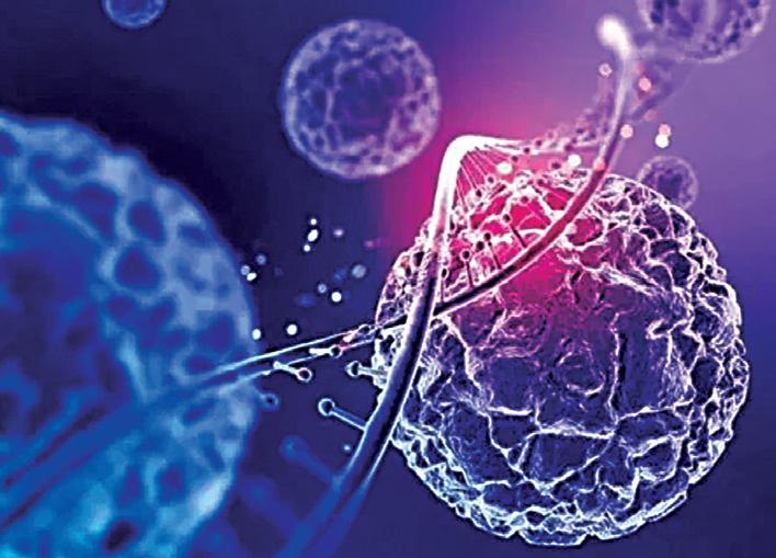 ElpasBio and Fosun Kairos collaborate to commercialise Allo Join stem cell therapy