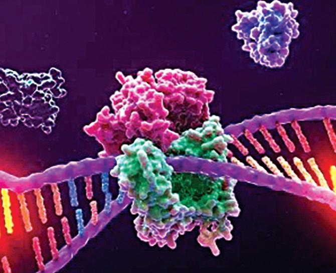 First Promega companion diagnostic receives China's NMPA approval