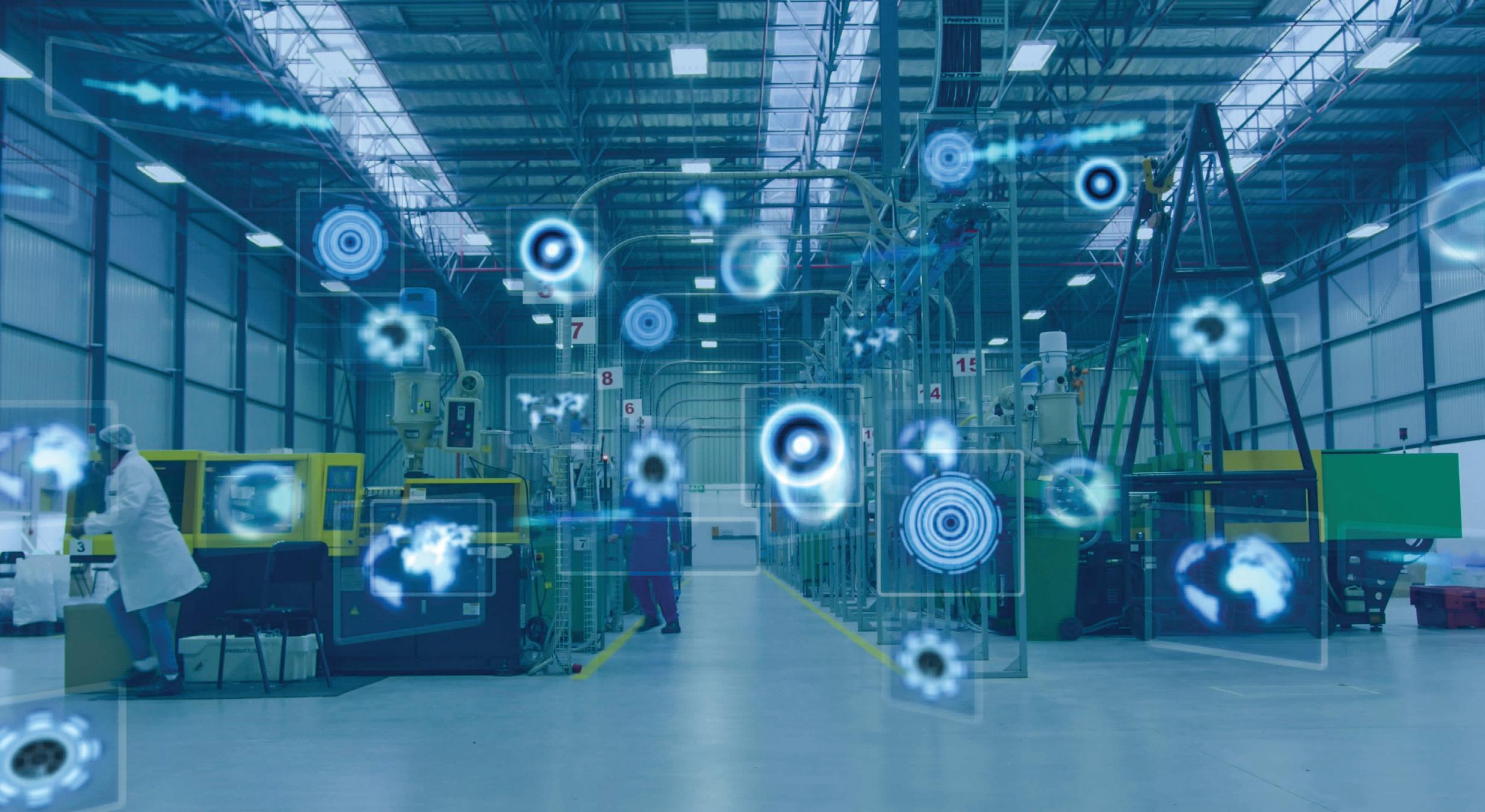 From Inspection to Insight