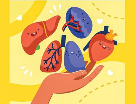 Two brain-dead patients save multiple lives through organ donation