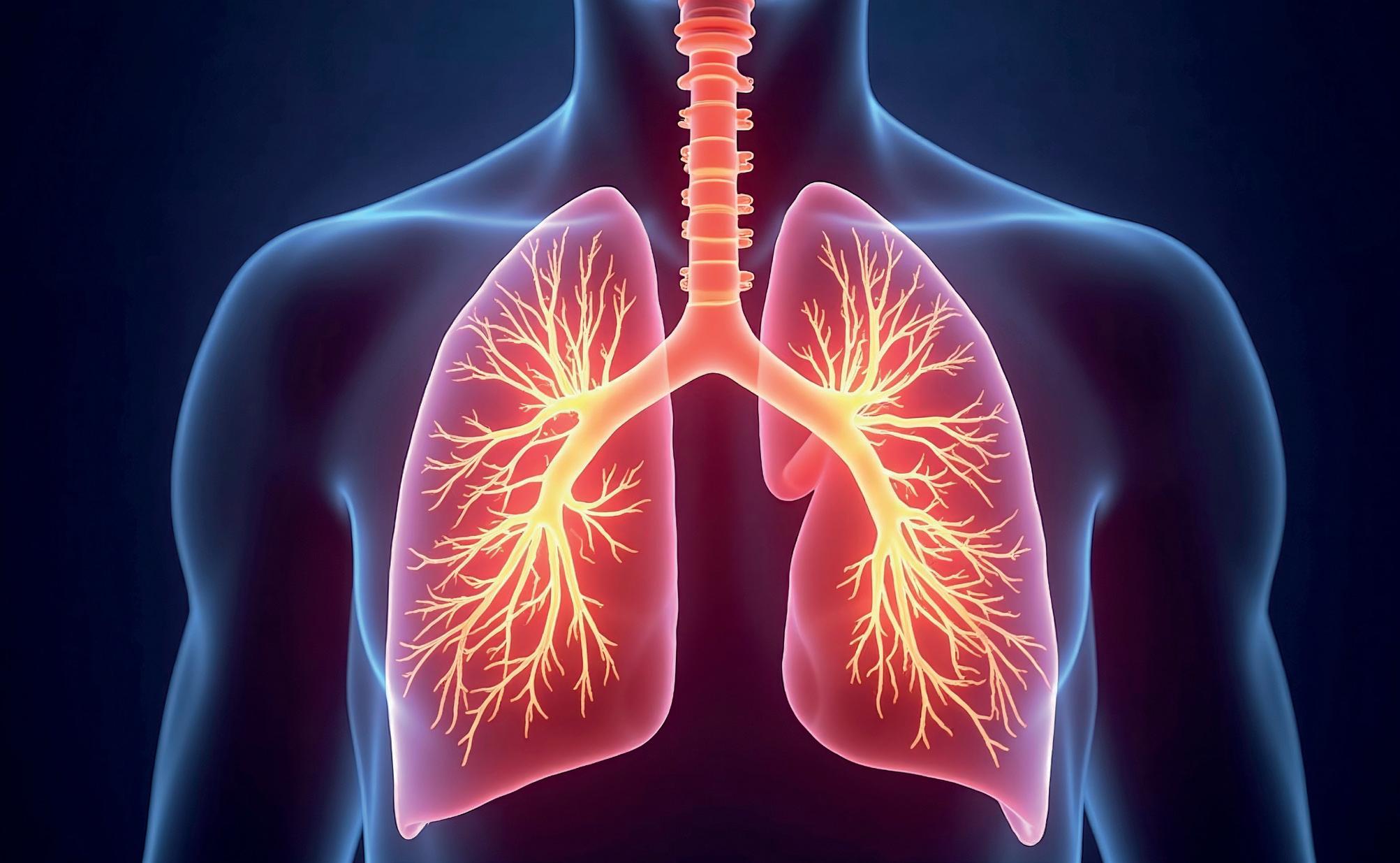 INDIA'S DETERMINED FIGHT AGAINST TB: PREVALENCE AND URGENCY
