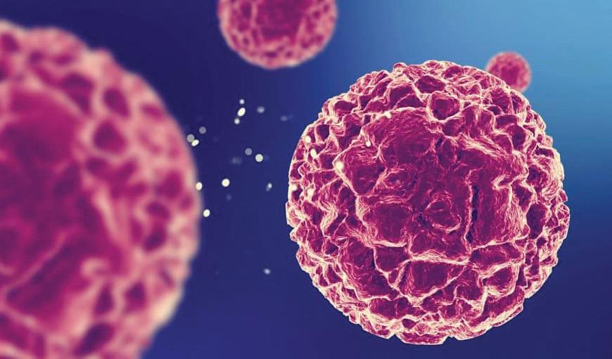 GODAVARI BIOREFINERIES' ANTI-CANCER BREAKTHROUGH SECURES EUROPEAN PATENT