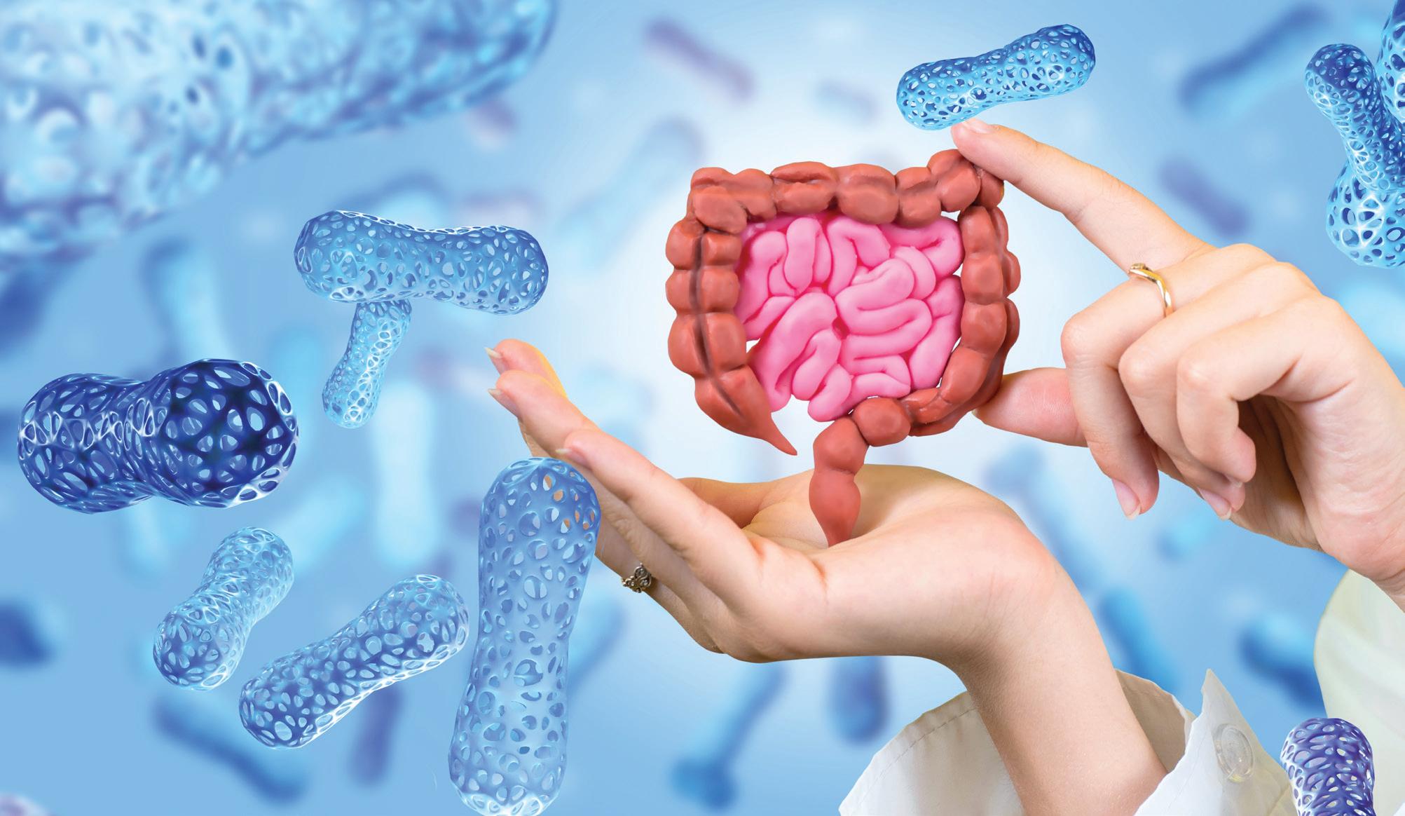 ADVANCING GUT HEALTH STRATEGIES HOW HOSPITALS AND PHARMA CAN LEVERAGE MICROBIOME RESEARCH FOR BETTER PATIENT OUTCOMES