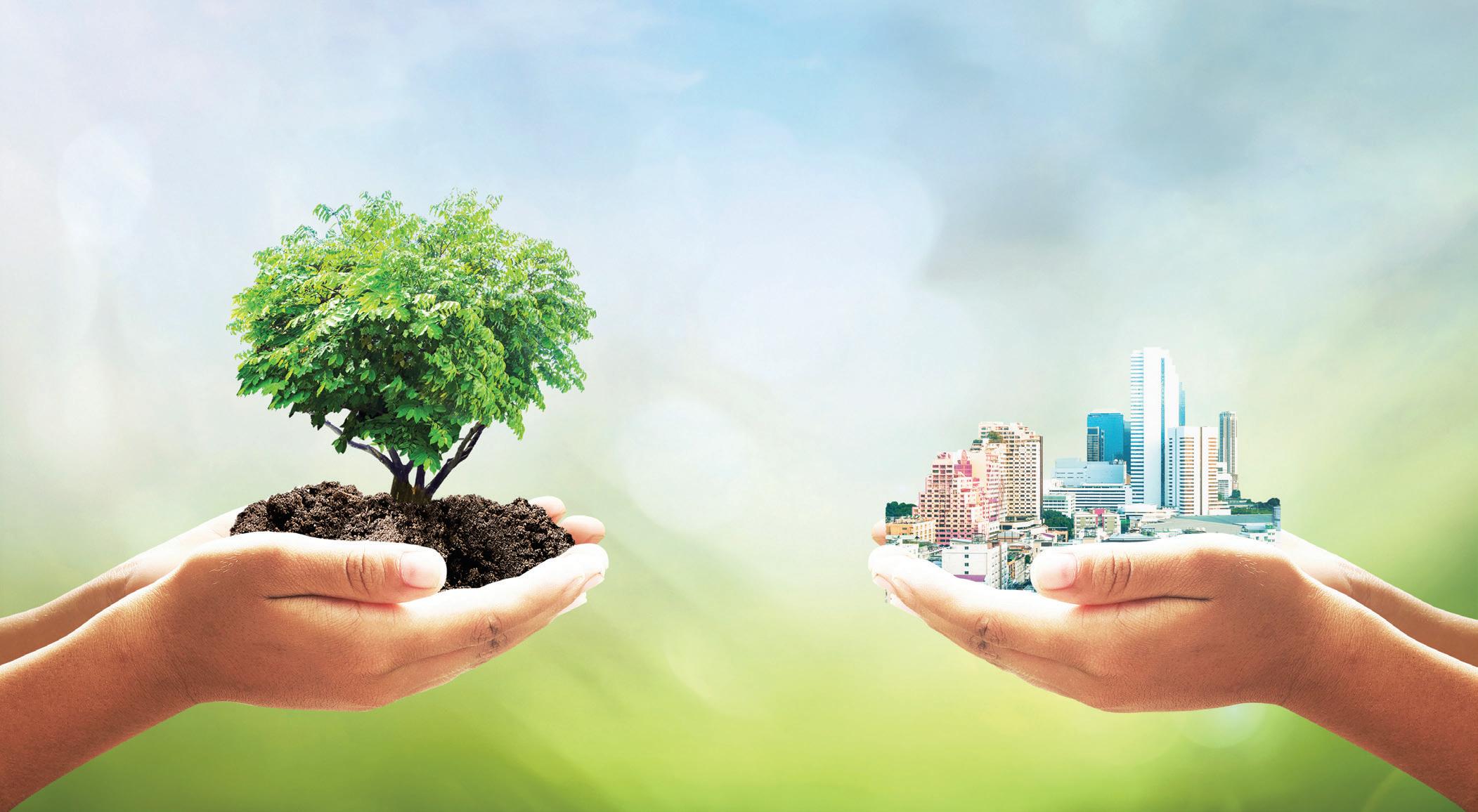Sustainability in Hospitality