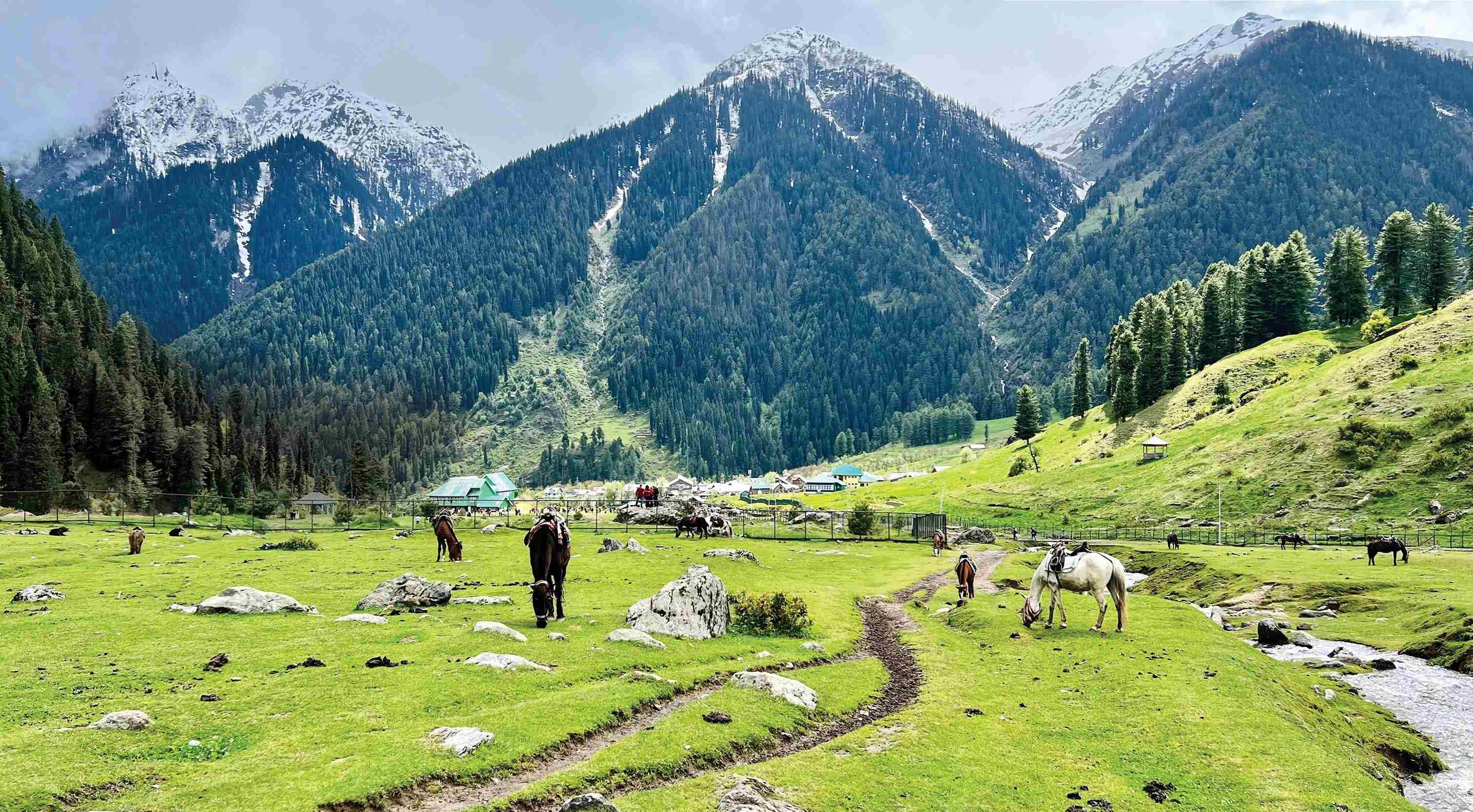 Seasonal Disruption in Kashmir