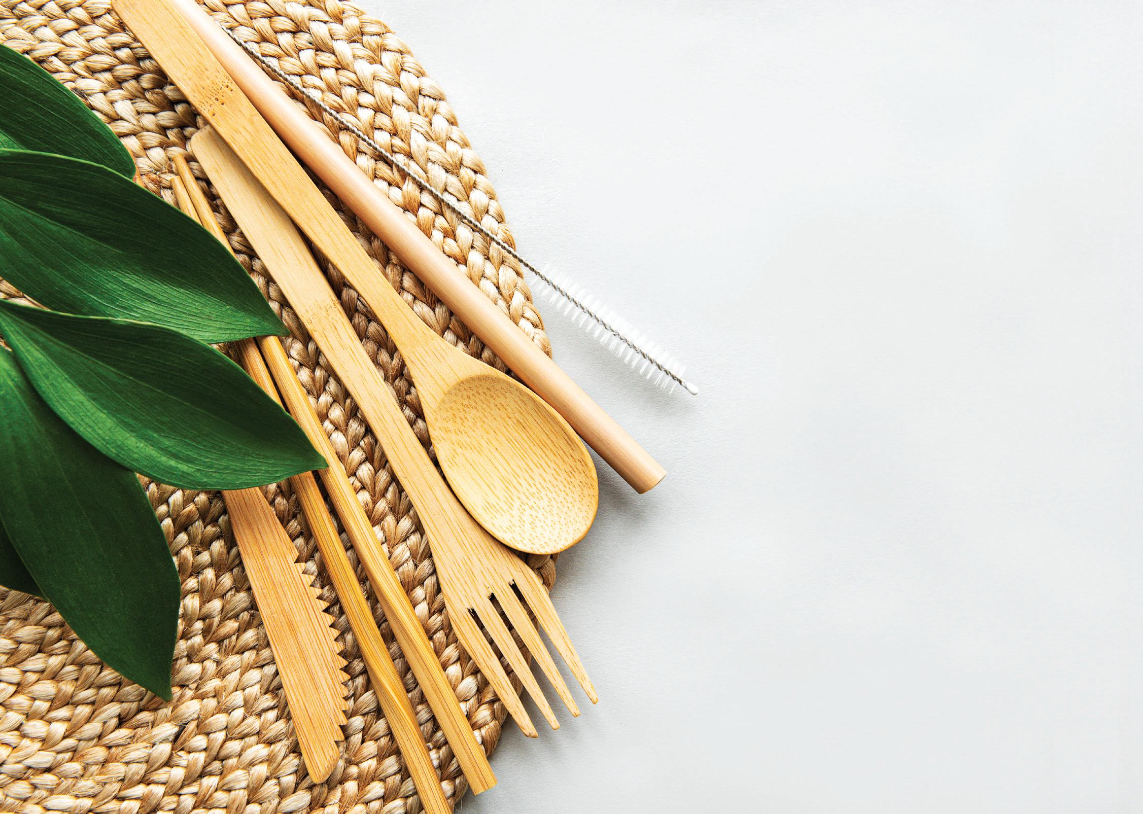 Green Plates: How Hotels Can Reduce Single-Use Plastics in Food Service