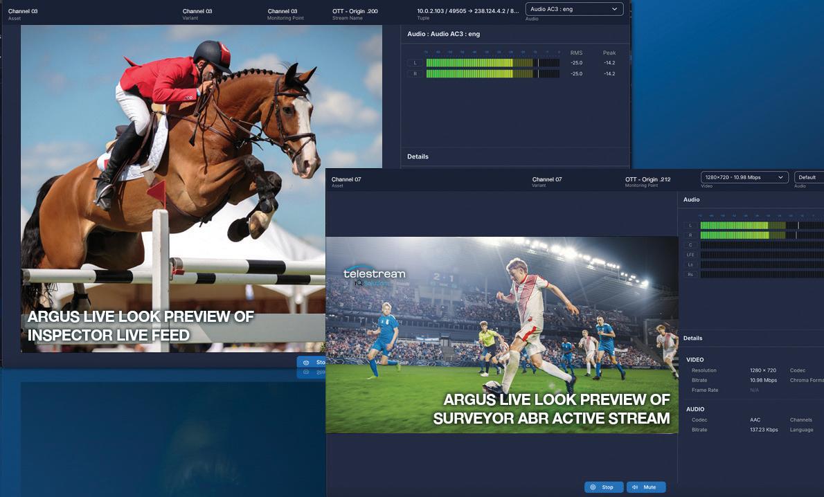 ARGUS v 2.3 Update: Telestream Introduces Dynamic Live Look for Validation
