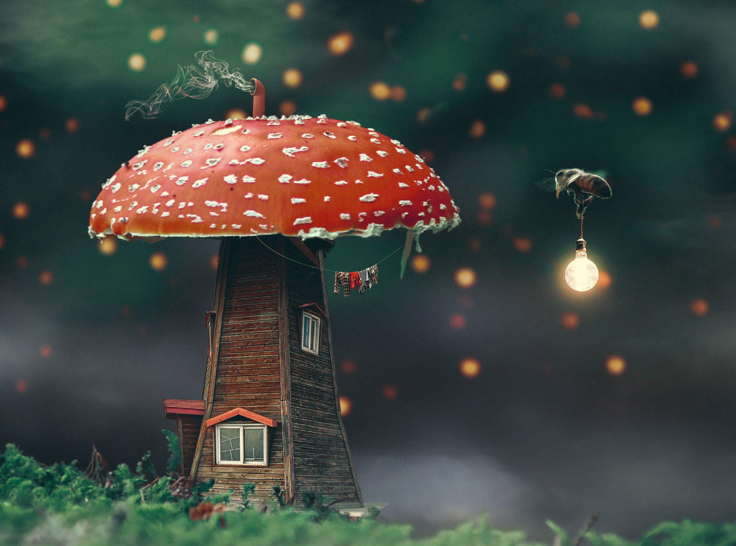 HOW TO...MAKE MAGIC WITH MUSHROOMS