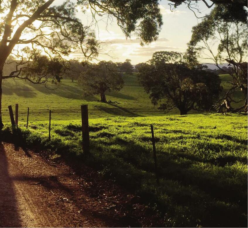HIDDEN VALLEY