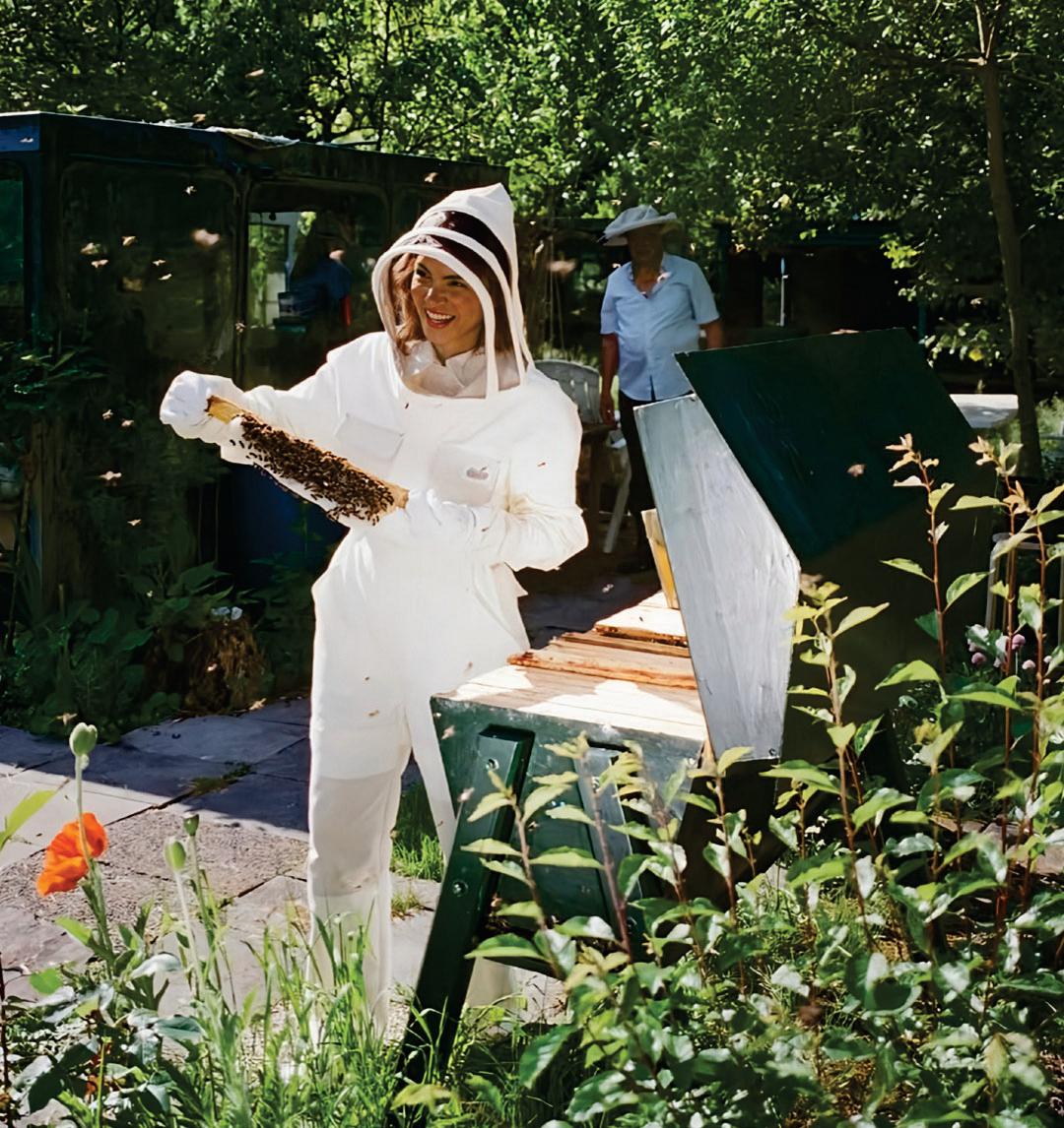 HONEY PLOT