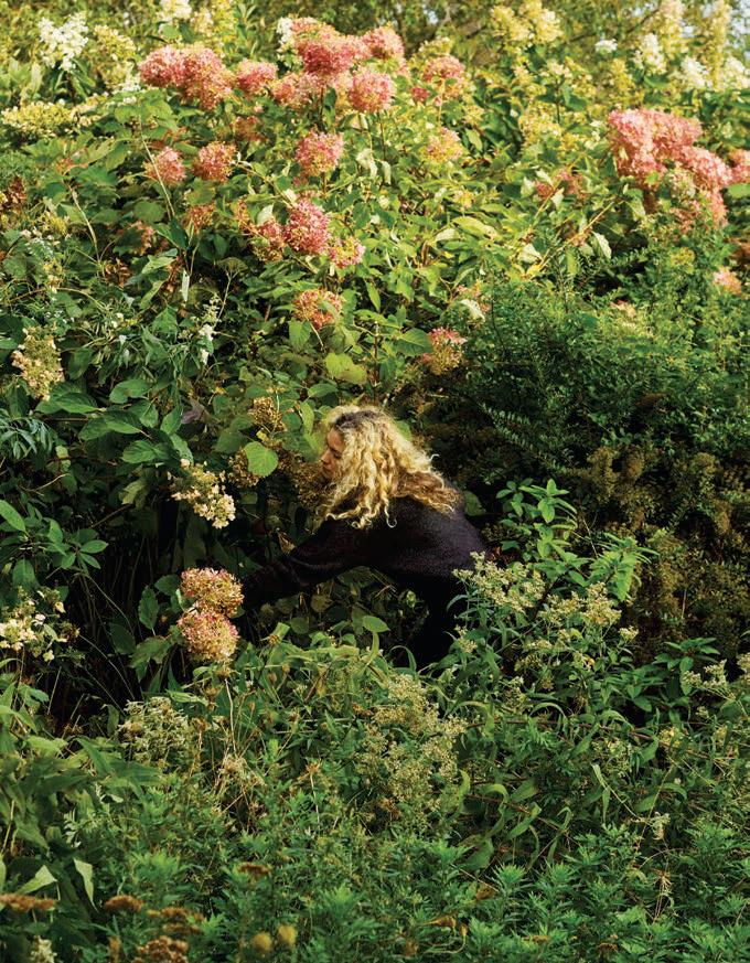 BLOOM TIME