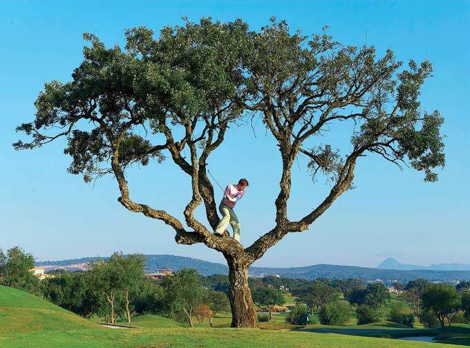 To save yourself from having to take an unplayable, is it legal to lean on a tree for support while hitting a ball in an awkward lie?